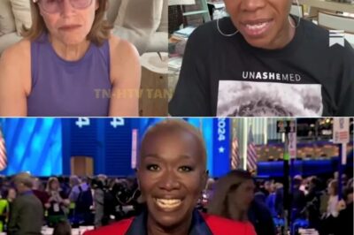 EXCLUSIVE: MSNBC Thought They Silenced Their ‘Dangerous’ Host. Four Months Later, Joy-Ann Reid Has 160,000 Paying Fans—and a Media Empire That’s Making Her Old Bosses Panic