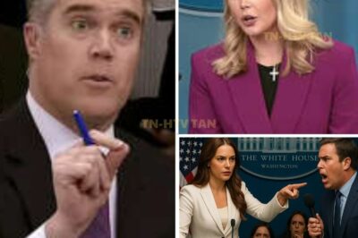SH0CKING TURN OF EVENTS: NBC’s Peter Alexander Faces Unbelievable Aftermath of Heated Confrontation with Karoline Leavitt—What Happened Next Was Something He Never Expected!