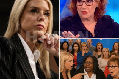“1 MINUTE AGO!!! ‘YOU DON’T WANT THE TRUTH — YOU WANT A SCRIPT!’ PAM BONDI’S SHARP REMARK IGNITES CHAOS ON THE VIEW!”  Pam Bondi’s voice cut through the tension like a blade, delivering a powerful blow that immediately threw The View into turmoil. “You don’t want the truth — you want a script!” she declared, sending shockwaves through the studio. Whoopi Goldberg shot back, “This isn’t court, Pam — this is real life!” But Bondi stood her ground, unshaken. “And in real life, people are tired of being lied to,” she retorted.  The studio fell into stunned silence as even the producers behind the scenes froze. Joy tried to deflect, Sunny sat wide-eyed—but the damage had already been done. Within minutes, the clip went viral, and the nation was already divided. Who’s in the right, and who’s on the wrong side of this fiery exchange? WATCH CLIP BELOW 👇