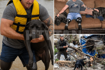 “PROSTHETIC LEGS OF FOX NEWS’ JOHNNY JOEY JONES CREATE A MIRACLE IN TEXAS—20 ABANDONED PETS RESCUED FROM DEVASTATING FLOODWATERS THANKS TO THE VETERAN’S COMPASSION”  In a heartwarming display of courage and compassion, Johnny Joey Jones used his prosthetic legs to create a life-saving miracle in Texas. Amid the chaos of the devastating floods, Jones, now a host and editor at Fox News, braved the rising waters to rescue at least 20 abandoned pets, bringing them to safety. His unyielding determination to save innocent lives in the face of disaster showcases the deep empathy and heroism that goes beyond his military background. Full details on this incredible act of kindness below 👇