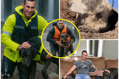 UNBELIEVABLE HEROISM: JOHNNY JOEY JONES USES PROSTHETIC LEGS TO RESCUE 20 ABANDONED PETS FROM TEXAS FLOODS!  In a stunning act of bravery, Johnny Joey Jones, Fox News host and decorated veteran, used his prosthetic legs to rescue 20 abandoned pets from the devastating Texas floods. Despite the rising waters and dangers around him, Jones risked everything to save innocent lives, proving that heroism isn’t just about grand gestures but selfless acts in times of crisis.  What drove him to risk his life for these animals? This incredible act of compassion has already made headlines, and the full story behind his actions will leave you questioning what true bravery really looks like.