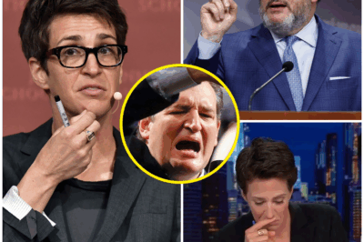 BOMBSHELL REVEAL: RACHEL MADDOW ACCUSES TED CRUZ OF STEALING $428 MILLION MEANT FOR TEXAS FLOOD VICTIMS—LEGAL ACTION LOOMS!  In a shocking turn, Rachel Maddow has accused Senator Ted Cruz of misappropriating millions of dollars intended for Texas flood victims. Maddow demands that Cruz return the $428 million immediately or face legal action.  The accusations have ignited outrage, with public backlash growing by the minute. Insiders claim the fraud goes even deeper than anyone imagined. As Crockett vows to expose Cruz’s corruption, the political world is left reeling.  How will Cruz respond? Will he face the consequences of his alleged actions? Stay tuned—this scandal is far from over.