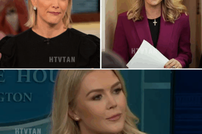 “Karoline Leavitt Just Bankrupted The View—$800 Million Lawsuit Sends Shockwaves Through TV Industry!”
