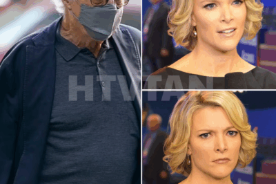 “‘ROBERT DE NIRO SILENCES MEGYN KELLY LIVE ON AIR WITH EIGHT CHILLING WORDS—FANS SAY THEY’VE NEVER SEEN HER SO SPEECHLESS!”  What began as a heated exchange between Megyn Kelly and Hollywood legend Robert De Niro took a jaw-dropping turn when Kelly called De Niro “extremely stupid” live on air. Fans braced for an explosive showdown, but instead, De Niro shocked everyone by maintaining his composure and delivering just eight calm, chilling words that left Kelly completely speechless. No shouting, no drama—just a quiet, yet powerful response that froze the entire studio. What did De Niro say that changed everything and had fans buzzing? The truth is even more shocking than you think. Full story below 👇