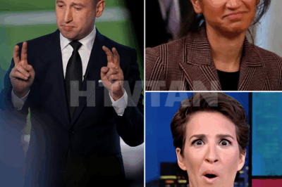 “I never thought something so personal could become so public… but now that it’s out there, all I can do is face it head-on…”- STEPHEN MILLER MELTS DOWN AFTER WIFE’S SCANDAL IS EXPOSED ON THE RACHEL MADDOW SHOW.  In a shocking on-air moment, Stephen Miller’s world came crashing down after his wife’s scandal was publicly exposed on The Rachel Maddow Show. As the details unfolded live, Miller’s reaction was nothing short of a meltdown—his composure shattered by the bombshell revelation. What exactly was uncovered, and how did it send shockwaves through both his personal and professional life? The full story behind this explosive moment is unfolding now. FULL DETAILS BELOW 👇