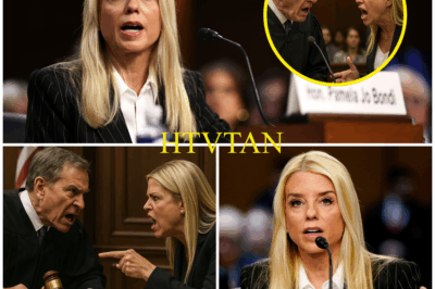 In a courtroom where Judge Howard Gates believed he had absolute control, he publicly humiliated attorney Pam Bondi—only to be blindsided moments later.  What followed was nothing short of jaw-dropping. Just minutes after Gates tried to assert his dominance, Bondi turned the entire room silent with a bombshell revelation—evidence that no one saw coming. In an instant, the power dynamic shifted, and the judge who thought he was untouchable was exposed.  What happens when the very system a judge relies on to protect him is used to tear him down?  The full story is more shocking than you can imagine.