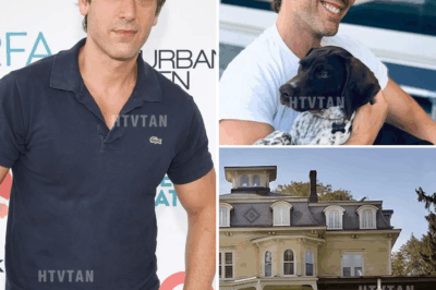 INSIDE DAVID MUIR’S $7 MILLION NYC HOME—WHAT’S REALLY GOING ON BEHIND THE DOORS OF THE ABC NEWS ICON’S PRIVATE LIFE?