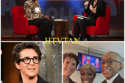 “MSNBC THOUGHT THEY’D SOLVED A PROBLEM—UNTIL JOY-ANN REID AND RACHEL MADDOW STRUCK BACK WITH A SHOCKING REVENGE!”  When MSNBC fired its “most dangerous” primetime host in February, executives thought they’d silenced the storm. It seemed like a simple fix—cut ties with a polarizing figure who had stirred constant controversy.  What they didn’t know? Joy-Ann Reid, quietly scheming in the shadows for 20 years, had been building something far bigger with Rachel Maddow—and now, they’re ready to unleash chaos.  Their explosive return has stunned America, leaving the network reeling. Could this be the final, devastating blow to MSNBC’s future?