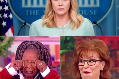 “FOX NEWS EXPLOSIVE STORY – THE VIEW URGES KAROLINE LEAVITT TO DROP HER $800 MILLION LAWSUIT, BUT A HIDDEN TRUTH LURKS BEHIND THE SCENES!”  In an explosive new twist, The View has urged Karoline Leavitt to drop her $800 million lawsuit—but what’s really happening behind the scenes? As ABC scrambles to manage the fallout, the pressure is mounting. Are Whoopi Goldberg and Joy Behar’s apologies just a tactic to prevent a full-blown media meltdown? Why is Leavitt so determined to press forward, despite the mounting pressure? The world is left on edge, eagerly awaiting her next move as shocking revelations threaten to explode. Get ready for the full story—WATCH BELOW 👇