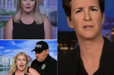 THIS JUST HAPPENED, Rachel Maddow CALLS SECURITY to REMOVE Karoline Leavitt After Explosive Revelation on Air—What Was Said That Shook the Entire Studio?