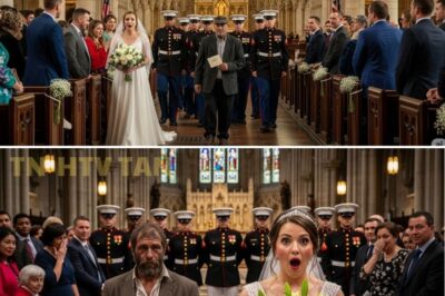 For six years, a young baker delivered hot meals to a quiet homeless man, never asking his name! On his wedding day, 12 uniformed Marines arrived… and the whispers turned to greetings!