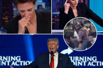 Rachel Maddow Launches Fiery Attack on Trump’s Betrayal — White House Left Speechless Or perhaps, simply incapable of responding.