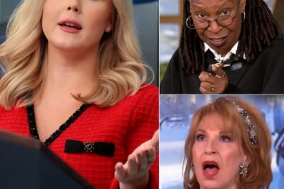 FOX NEWS ERUPTS: Karoline Leavitt Obliterates The View With One Savage Line—Even the Hosts Didn’t See It Coming