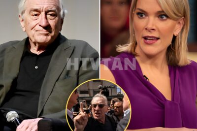 “ROBERT DE NIRO SILENCES MEGYN KELLY LIVE ON AIR WITH EIGHT CHILLING WORDS—FANS SAY THEY’VE NEVER SEEN HER SO SPEECHLESS!”  What began as a fiery exchange between Megyn Kelly and Hollywood legend Robert De Niro took a shocking turn when Kelly called De Niro “extremely stupid” live on air. Fans were expecting an all-out showdown, but De Niro stunned everyone with his calm, composed response—delivering just eight words that left Kelly utterly speechless. No shouting, no drama—just a quiet, chilling comeback that froze the studio. What exactly did De Niro say that completely flipped the conversation? The answer is even more surprising than you’d imagine. Full story below 👇