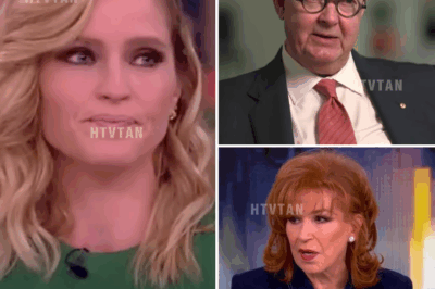 “ABC Shocks the TV World: The View Canceled After Two Decades—CEO Declares ‘The Audience Deserves Better’! What Led to the Show’s Controversial End and What’s Next for Daytime TV?”