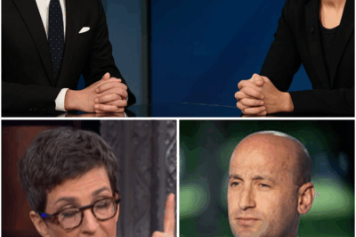 “RACHEL MADDOW’S SHOCKING MIC-DROP MOMENT: ‘I DON’T DEBATE MONSTERS, I EXPOSE THEM’ — MILLER’S FAMILY SCANDALS EXPOSED!” 😱 When Rachel Maddow called out Stephen Miller with the powerful words, “You want to talk morals, Stephen?” the MSNBC studio was thrown into chaos. What followed was a calculated political takedown that left Miller’s team scrambling. Sources reveal that Maddow had prepared for weeks, compiling classified documents on Miller’s family scandals. Read on to uncover what Maddow exposed and why her bold move has left Washington in panic mode.