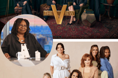 “Is The View Canceled?”: Inside the SHOCKING Truth Behind the Sudden Hiatus — What’s Really Going On Behind the Scenes?
