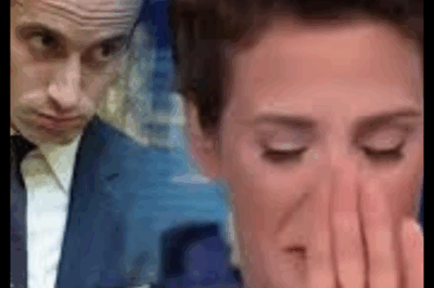 Rachel Maddow’s On-Air Takedown Leaves Stephen Miller Shattered and Washington Reeling