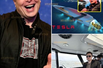 “THEY CALL IT A YACHT… I CALL IT CIVILIZATION’S BACKUP DRIVE.” — MUSK’S CRYPTIC TWEET AFTER LAUNCH. ELON MUSK’S SECRET FLOATING FORTRESS: WHAT IS HE REALLY HIDING INSIDE TESLA’S $500M “GHOST YACHT”? 🚢⚡ WHY ARE COAST GUARDS ON HIGH ALERT? AND WHAT MYSTERIOUS PROTOCOLS ACTIVATED WHEN THESE PHOTOS LEAKED? THIS ISN’T LUXURY—IT’S A FLOATING LAB THAT COULD CHANGE THE WORLD!  The tech world is in chaos after Elon Musk unexpectedly unveiled Tesla’s most mysterious vessel yet—a 400-foot “yacht” with no visible windows, shielded decks, and rumored electromagnetic shielding. Maritime experts are baffled by its unregistered navigation system, while leaked blueprints suggest it houses something far more revolutionary than luxury cabins. What classified technology is being tested aboard? Why did three engineers suddenly quit the project? And which government agency just quietly dispatched observers to track its maiden voyage? This isn’t just a boat—it’s Musk’s most daring experiment yet.  The full 360° tour leaks in 3 hours—CLICK NOW before it gets memory-holed!