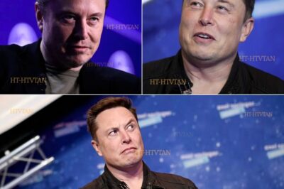 “I DON’T MERGE COMPANIES—I ANNIHILATE COMPETITORS.” — ELON MUSK’S OMINOUS STATEMENT TO INVESTORS. IS ELON MUSK PLAYING 4D CHESS WITH HIS EMPIRE? WHY DID TESLA BOARD MEMBERS JUST HOLD AN EMERGENCY MEETING? AND WHAT EXPLOSIVE AI SECRET IS XAI HIDING THAT COULD DESTROY THE MERGER? 🤯🔍  Behind closed doors at Tesla headquarters, tensions are reaching a boiling point as Elon Musk makes a shocking power play. While publicly denying merger talks between Tesla and xAI, insiders reveal the billionaire is secretly orchestrating a radical restructuring that could leave shareholders reeling. What classified AI breakthrough did xAI accidentally leak to foreign entities? Why are three senior Tesla engineers suddenly “on leave”? And which government agency just launched a surprise audit of Musk’s companies?  The truth behind Musk’s latest move will shock you—click now before this story gets memory-holed. 🚀💣