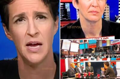 “THEY THINK FIRING MY TEAM SILENCES THE TRUTH—THEY JUST GUARANTEED ITS EXPLOSION.” — RACHEL MADDOW’S DEFIANT WARNING. WHY IS MSNBC PURGING RACHEL MADDOW’S ENTIRE TEAM? WHAT EARTH-SHATTERING STORY WERE THEY ABOUT TO BREAK? AND WHY ARE NETWORK EXECS SCRAMBLING TO DELETE EVIDENCE BEFORE MIDNIGHT? 🚨🔥  MSNBC is conducting a bloodbath behind closed doors—and Rachel Maddow’s award-winning staff is the first casualty. Insiders reveal the network abruptly terminated her entire investigative unit after they uncovered something so explosive about corporate donors that it could collapse MSNBC’s parent company. What damning documents did producers secure before the purge? Why did three senior executives suddenly resign? And which billionaire is allegedly pulling strings to kill the story?  This media blackout is about to backfire—click now before they memory-hole the evidence. 💣📰