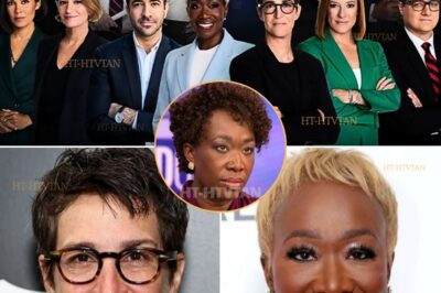They thought firing one host would end the drama—but instead, it awakened a secret alliance forged in the shadows. Now Rachel Maddow and Joy Reid are back, armed with a 20-year plan that could dismantle the network from within. Full story 👇