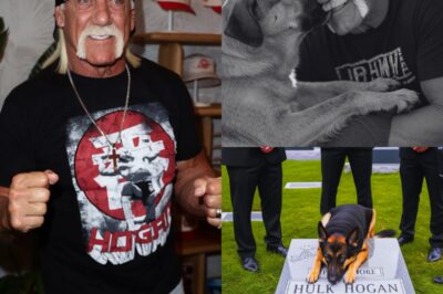 Ever Since Hulk Hogan’s Grave Was Erected, One Silent Mourner Has Never Left Its Side — A Dog. Locals Say It Appeared the Very Day the Stone Was Set, and Has Refused to Move Ever Since. It Doesn’t Bark. It Doesn’t Eat. It Just Stares at the Name Engraved in Marble, Day After Day, Night After Night. No One Knows Where It Came From — Until an Old Wrestler Recognized the Collar and Broke Down in Tears. Turns Out, This Wasn’t Just a Dog. This Was Hogan’s Last Loyal Companion… and What It Did on the Anniversary of His Final Match Has Left the Entire Wrestling World Speechless.