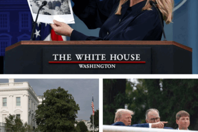 White House Under Trump: A 21st-Century Showpiece or a Dystopian Ruin?