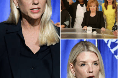 “1 MINUTE AGO: PAM BONDI DROPS A BOMBSHELL ON THE VIEW—ONE LINE TURNS THE SET INTO TOTAL CHAOS!” What started as a routine segment on The View quickly spiraled into utter chaos when Pam Bondi dropped a bombshell on live TV. The hosts froze, the audience gasped, and within seconds, producers were scrambling to regain control. What did Bondi say that left everyone in stunned silence? Click below to watch the uncensored moment that left The View in total disarray.