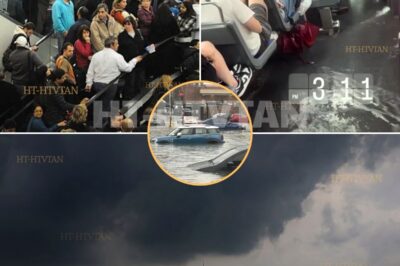 ‘IT’S LIKE A WARZONE OUT HERE!’—FLASH FLOODS CAUSE CHAOS WITH HUNDREDS OF FLIGHTS CANCELLED OR DELAYED, PASSENGERS STRANDED IN AIRPORTS: Live updates   Flash floods have turned travel plans into a nightmare, with hundreds of flights grounded or delayed, leaving passengers stuck and airports in disarray. “It’s like a warzone out here!” one frustrated traveler exclaimed as the storm continues to wreak havoc across major airports.  What’s behind the massive disruption, and how long will this travel chaos last? Stay tuned for live updates on this escalating disaster—find out what’s happening next! Full details below