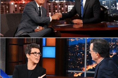 BREAKING 🚨: Maddow, Colbert, and Kimmel Just Ditched Network TV — And Their Secret Newsroom Project Is Already Sending Shockwaves Through the Media World!
