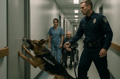 K9 Dog Uncovers Secret Room in Nursing Home… What They Found Was Buried for Over a Decade!