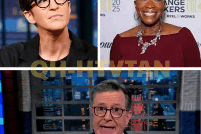 The Media Shake-Up No One Saw Coming: Maddow, Colbert, and Joy Reid Forge Independent News Front Amid MSNBC Turmoil