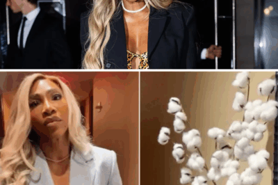 “When Hotel Décor Hits a Nerve: Why Serena Williams Called Out a Cotton Display — And What It Reveals”