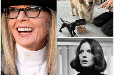 HOW DID DIANE KEATON D.I.E? HERE’S WHAT WE KNOW — AND WHAT’S STILL UNCLEAR