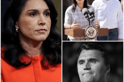 “SOMETHING CHANGED IN HIM”: TULSI GABBARD SAYS TRUMP’S TIRELESS TRAVEL HABITS NOW HAVE A DEEPER, SACRED MEANING