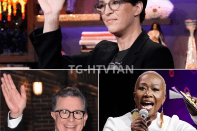 🗞️🔥 NO BOSSES. NO SCRIPTS. JUST TRUTH — RACHEL MADDOW’S ROGUE NEWSROOM HAS ARRIVED, AND THE ESTABLISHMENT IS SHAKING 📡⚠️ She walked away from the teleprompters — and walked straight into something bigger. Rachel Maddow has officially launched her own independent news platform, free from corporate filters, political pressure, and legacy media gatekeeping. Early previews reveal raw interviews, fearless commentary, and real-time reporting that isn’t afraid to name names. Insiders say this is more than a career move — it’s a shot at the system itself 👇👇👇
