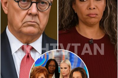 ABC HIT WITH $20 MILLION LAWSUIT AS SUNNY HOSTIN SLAMS THE VIEW’S CANCELLATION — COULD THIS BE DAYTIME’S DEFINING LEGAL BATTLE? 🧨🧨   Sunny Hostin has never been one to back down—and now she’s bringing that same courtroom fire to ABC itself. Just days after the shocking cancellation of The View, Hostin filed a blistering $20 million lawsuit, accusing the network of violating her contract, cutting her without cause, and inflicting emotional damage. Insiders say ABC blindsided the cast, swapping out their legacy roundtable for The Charlie Kirk Show. Sunny says she wasn’t just cut—she was erased. With Megyn Kelly and Erika Kirk stepping into her time slot, the contrast couldn’t be sharper. And with Joy Behar reportedly “consulting legal,” this may be just the start. What’s in the complaint—and what could ABC lose next? Full report below 👇