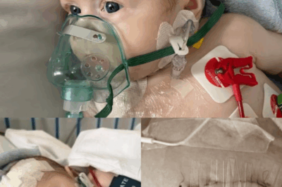 “Please Help Save Ewelinka’s Life – A Two-Year-Old Fighting Stage IV Cancer”