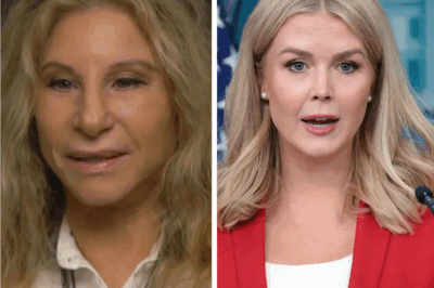 “I WILL NEVER BE YOUR PUNCHLINE!’ — Barbra Streisand Turns Late-Night Show Into Historic Showdown”