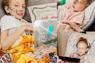 “Brielle’s Christmas Wish: The Little Girl Who Taught Us Courage”