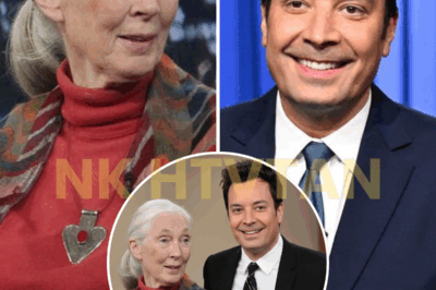 FALLON’S TRIBUTE TO JANE GOODALL DIDN’T JUST HONOR HER — IT CHANGED THE ENERGY OF THE ROOM FOREVER 🕊️🌿 They say some goodbyes feel like a beginning. That’s exactly what happened on Monday night, when Jimmy Fallon delivered a tribute that was less about grief… and more about awe. A still room. A trembling voice. Footage of chimpanzees reaching out to her hand. Every second of Fallon’s words felt like a soft echo of everything Dr. Goodall gave us — and a reminder of the silent power of compassion. 👇 What Fallon said next will stay with you long after the screen fades to black.