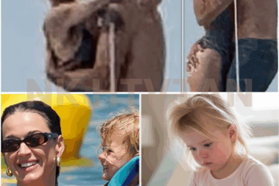 KATY PERRY’S YACHT KISS WITH JUSTIN TRUDEAU WENT VIRAL — BUT THE REAL STORY MIGHT BE WHAT DAISY NEVER SAW 😔📷 While fans swoon over photos of Katy Perry and Justin Trudeau kissing under the California sun, others are quietly asking what’s happening off-camera. With Daisy still adjusting to her parents’ split, this new relationship — and its very public debut — is raising questions. Is Katy moving on too fast? Or is she balancing love and motherhood in her own way? 👇 Explore the hidden pressures behind this headline-making romance — and what it means for the little girl in the middle