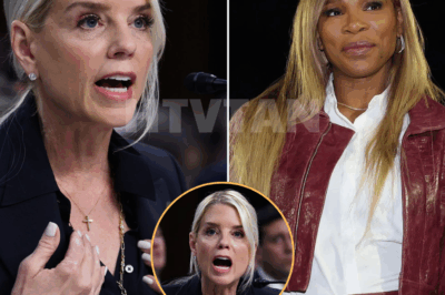 “SHE JUST COST US MILLIONS — AND NOW SHE’S GOING TO PAY.” 💥 Hotel Sues Serena Williams After Boycott Call, Pam Bondi UNLEASHES on Live TV 😱  The scandal didn’t start with a lawsuit — It started with ten words from Serena Williams that detonated across the internet:  “Do not stay there. Not if you look like me.”  Within hours, the luxury hotel’s bookings collapsed. By morning, their legal team had drafted a lawsuit — and by noon, the headline hit: “$15 MILLION IN DAMAGES — AND COUNTING.”  But that was just the beginning. Pam Bondi took to national television and torched the moment:  “A drama queen in designer shoes… who just turned activism into idiocy.” “She’s not empowering anyone — she’s embarrassing everyone.”  The crowd gasped. Social media exploded. Was this racial justice — or reputational suicide?  Now, the nation is split: ✦ One side sees a woman standing her ground. ✦ The other sees a celebrity meltdown masking as a movement.  👇 Full lawsuit breakdown, Bondi’s unfiltered quotes, and the video clip that just reignited America’s loudest debate.