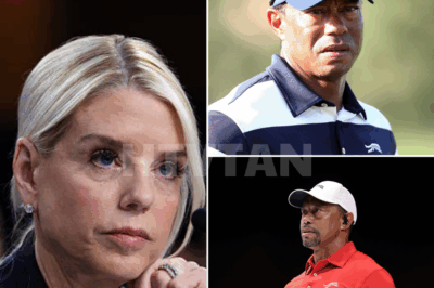 TWO MINUTES AGO SHE OWNED THE ROOM — THEN ONE SENTENCE ERASED HER.  Pam Bondi walked into the MSNBC studio like she owned it. Confident. Calculated. Loaded for TV. She came to bury Tiger Woods — not praise him.  And for twenty seconds… it worked. The clips flew. The crowd buzzed. She had him.  But then?  Tiger didn’t blink. He didn’t flinch. He reached for a folder, slid it across the desk… and said one sentence. Not loud. Not smug. Just placed — perfectly.  And suddenly, the air shifted.  The studio went still. The cameras didn’t cut. And Bondi’s grip on the table tightened — hard.  Ten seconds later, the silence was louder than her opening monologue. Thirty seconds later, the internet had a name for it: #OneSentenceCollapse  What did Woods say? Not a mic drop. Not a gotcha. Something far worse for live TV:  Truth, perfectly timed.  👇 The moment, the sentence, and the frame-by-frame replay that millions can’t stop watching.