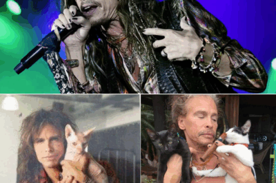 🎸💖 FROM ROCK STAR TO RESCUE HERO — Steven Tyler Drops $1M on Pet Sanctuary That’s Melting Hearts Everywhere 🐾🕊️🎶  He shook stadiums. Now he’s saving souls — four paws at a time. Steven Tyler has just pledged $1 million to launch a cutting-edge pet rescue and rehab sanctuary, and fans are calling it the most beautiful twist in his legendary career. During a surprise visit to the site, witnesses saw him kneel beside injured animals, whispering like they were lifelong bandmates. “This isn’t a shelter,” he said. “It’s a sanctuary.” Love, music, healing — the encore nobody saw coming… and everyone needed.