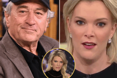 “I DON’T CARE WHAT YOU THINK OF ME.”  Eight words. That’s all it took for Robert De Niro to flip a live studio upside down.  Megyn Kelly thought she had him cornered. She smirked, called him “extremely stupid” in front of millions, and waited for the explosion — the shouting, the storm, the viral fireworks.  But De Niro didn’t give her what she wanted.  He didn’t raise his voice. He didn’t plead or explain. He looked her dead in the eye and delivered a reply so calm, so precise, it froze the air itself.  The crew in the control room whispered: “Stay on the wide shot.” The audience held its breath. For ten whole seconds, no one moved.  Kelly tried to recover. She shuffled her cards. She muttered something about “just asking questions.” But the balance had shifted. The show was no longer hers.  Clips spread instantly — TikTok, YouTube, Twitter. Hashtags like #DeNiroSilencesKelly and #EightWords trended worldwide. Reaction videos called it “a masterclass in stillness.” Even her own fans admitted: “She didn’t lose. She was outclassed.”  And for once in the age of noise, silence wasn’t weakness. It was a weapon.