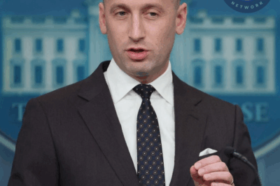 Stephen Miller