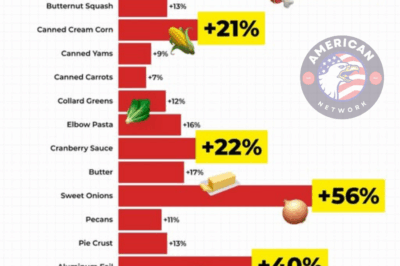 The Stark Reality of Hunger on Thanksgiving 2025: Empty Tables, Policy Choices, and a Nation Drifting Apart