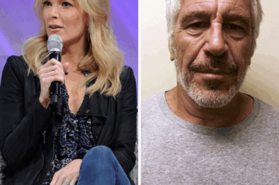 Megyn Kelly - Jeffrey Epstein